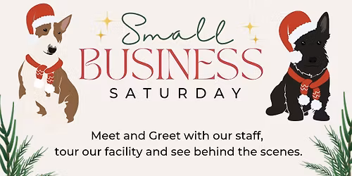 Small Business Saturday