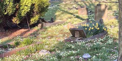 Volunteer Morning at the Cemetery