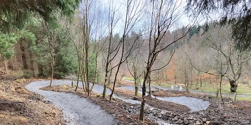 MTB Trail Maintenance Volunteer Day 