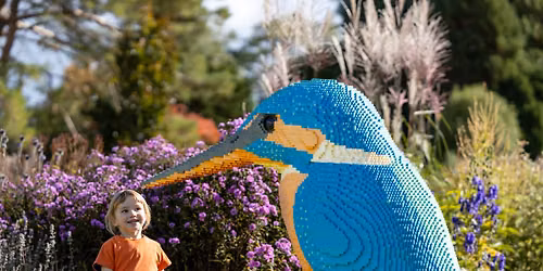 Summer Holidays: Brick  Explorers