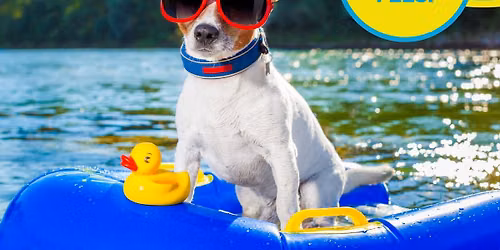 Summer Kick-Off Adoption Event