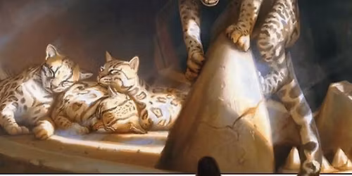 Let's Play Modern Weekly