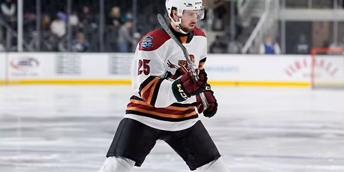 San Jose Barracuda vs. Tucson Roadrunners