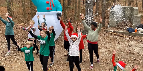 Holiday Walk in the Woods