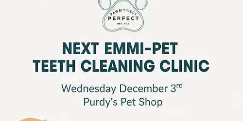 Emmi-Pet Teeth Cleaning Clinic with Pawsitively Perfect Pet Spa at Purdy's Pet Shop \ud83d\udc3e\ud83e\udea5\ud83e\uddb7
