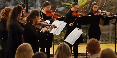 A FESTIVE CELEBRATION 