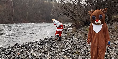 Holiday Mingle & Cookie Party