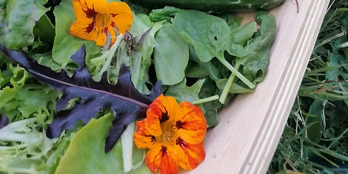 Caxton Farmers Market: April 2026