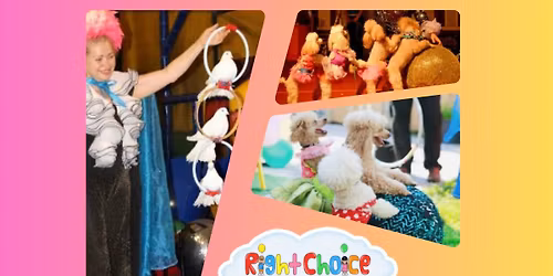 Poddle and Dove show