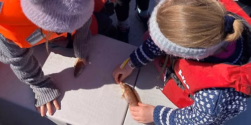 Familiedag Alver fiskefestival 2026