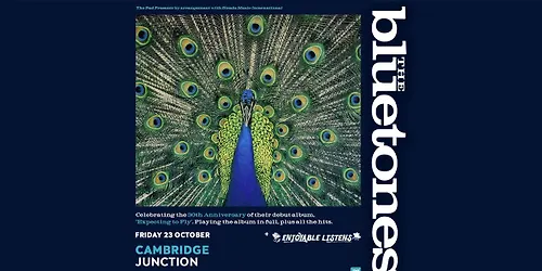 The Bluetones Junction Cambridge - Expecting To Fly 30th Anniversary Tour