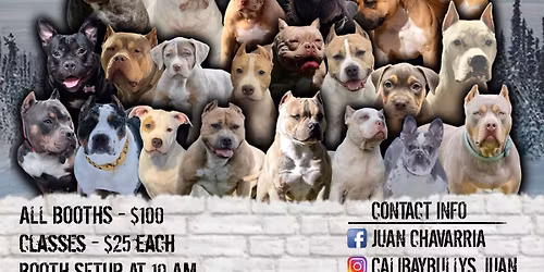 ALASKA\u2019S BATTLE OF THE BULLS SUMMER BASH #2