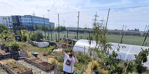 Community Day of Gardening, Wellbeing & Vibes at the Barking Food Forest