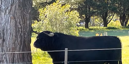 BudBurst Wine Festival