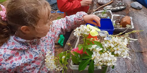 Elements - Natures Inspiration