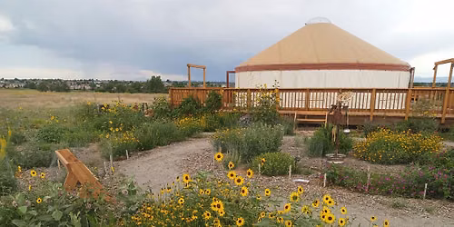 Native Plant Gardening Through The Seasons
