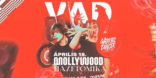 VAD Tatab\u00e1nya w\/ Mollywood x Hazetomika & Gabriel Dancer All Night Long