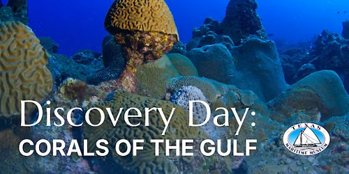 Texas Maritime Museum Discovery Day: Corals of the Gulf