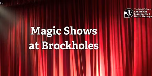A Magical May Half Term Weekend at Brockholes!