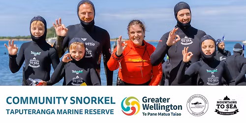 Community Snorkel: Taputeranga Marine Reserve