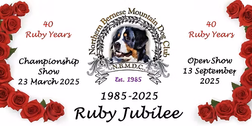 25th Anniversary Superleague 2025