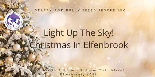 Light Up The Sky - Christmas in Elfenbrook