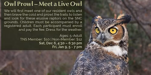 Owl Prowl- Meet a Live Owl