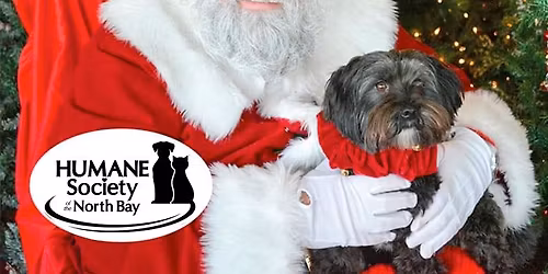 Pets Photos with Santa at Brickmania in Vallejo!