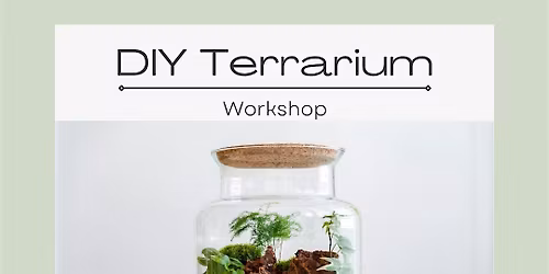 DIY Terrarium Workshop