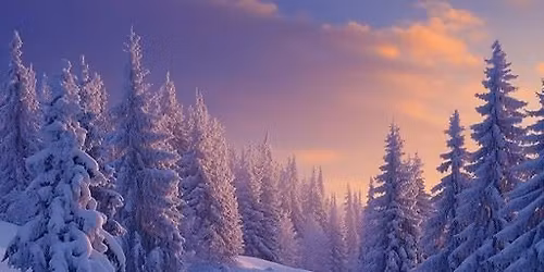 Winter Solstice Yoga at Timber Run Gardens