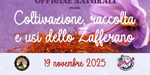 COLTIVAZIONE, RACCOLTA E USI DELLO ZAFFERANO con Alex Tombolillo