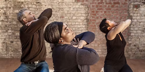 Gentle Feldenkrais Chair Series for Mobility