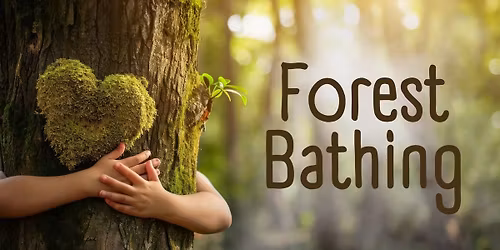 Forest Bathing