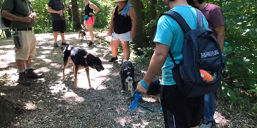 Evening Dog Hike 