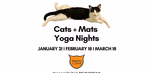 Cats N' Mats Yoga Night - February 2026