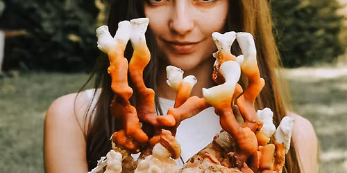 Kurs uprawy grzyb\u00f3w egzotycznych - Beskid Wyspowy