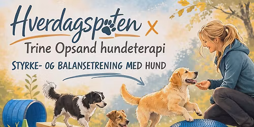 Styrketrening - introkurs for nybegynnere