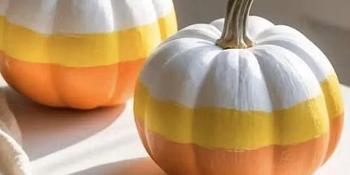 Mini Pumpkin Painting + Halloweentown Screening
