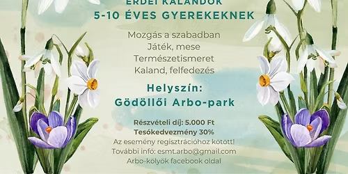 H\u00f3vir\u00e1gkeres\u0151 erd\u0151j\u00e1r\u00f3