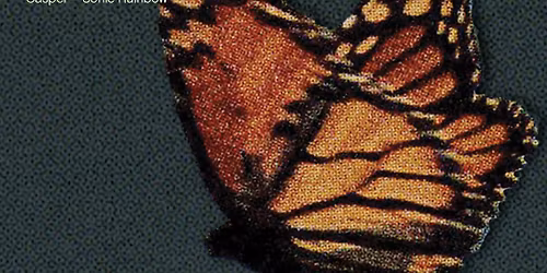 DEATH CAB FOR CUTIE LISTENING PARTY!