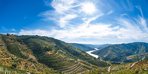 Wines from Portugal @ Esquin Wine and Spirits