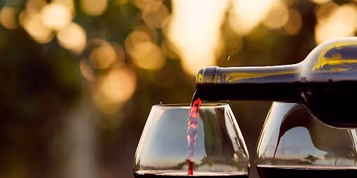 Napa Elegance: Showcasing Far Niente Winery