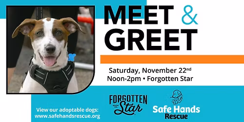 Safe Hands Rescue Meet & Greet at Forgotten Star Brewing