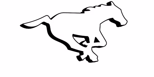 Calgary Stampeders vs. Toronto Argonauts