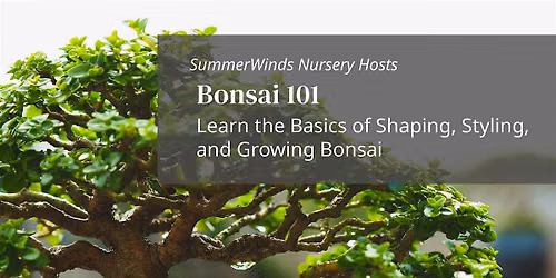 Bonsai 101 - Palo Alto