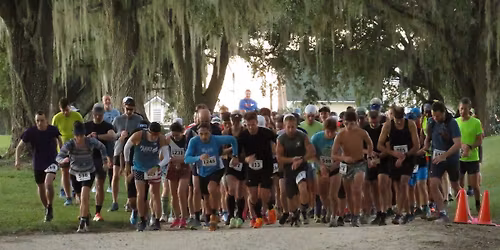 Gulf Winds Track Club's 2025 Pine Run 20K at Tall Timbers