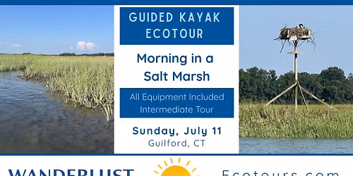 Guided Kayaking: Morning in a Salt Marsh