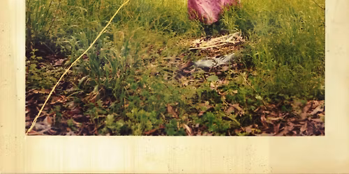 Frapper l'\u00e9pop\u00e9e | Alice Zeniter