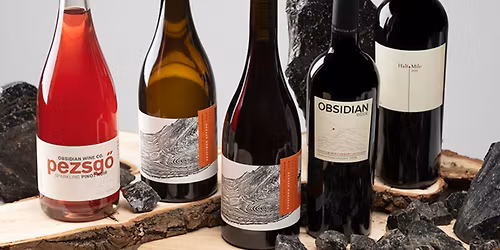 Obsidian Wine Co. Tasting!