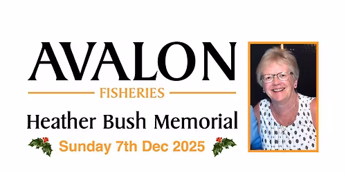 Heather Bush Memorial Match - Sunday 7 December